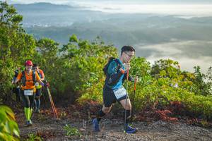 BIB: 2045
                            <button type="button" onclick="openModal(21876285)" class="btn btn-primary btn-sm float-right btn-popup" data-toggle="modal" data-target=".modal-high-quality">
                        <i class="fas fa-shopping-cart"></i> Add to Cart
                    </button>
                                            <button type="button" onclick="isThisMe(21876285, true)" class="btn btn-success btn-sm float-right btn-popup btn-isme hidden" data-toggle="tooltip" data-placement="bottom" title="นี่คือรูปของคุณใช่ไหม คลิกที่นี่เพื่อเอาเข้าอัลบั้ม">
                        <i class="fas fa-plus"></i> Add to album
                    </button>
                    <button type="button" onclick="isThisMe(21876285, false)" class="btn btn-warning btn-sm float-right btn-popup btn-isnotme hidden">
                        <i class="fas fa-ban"></i> Remove from album
                    </button>